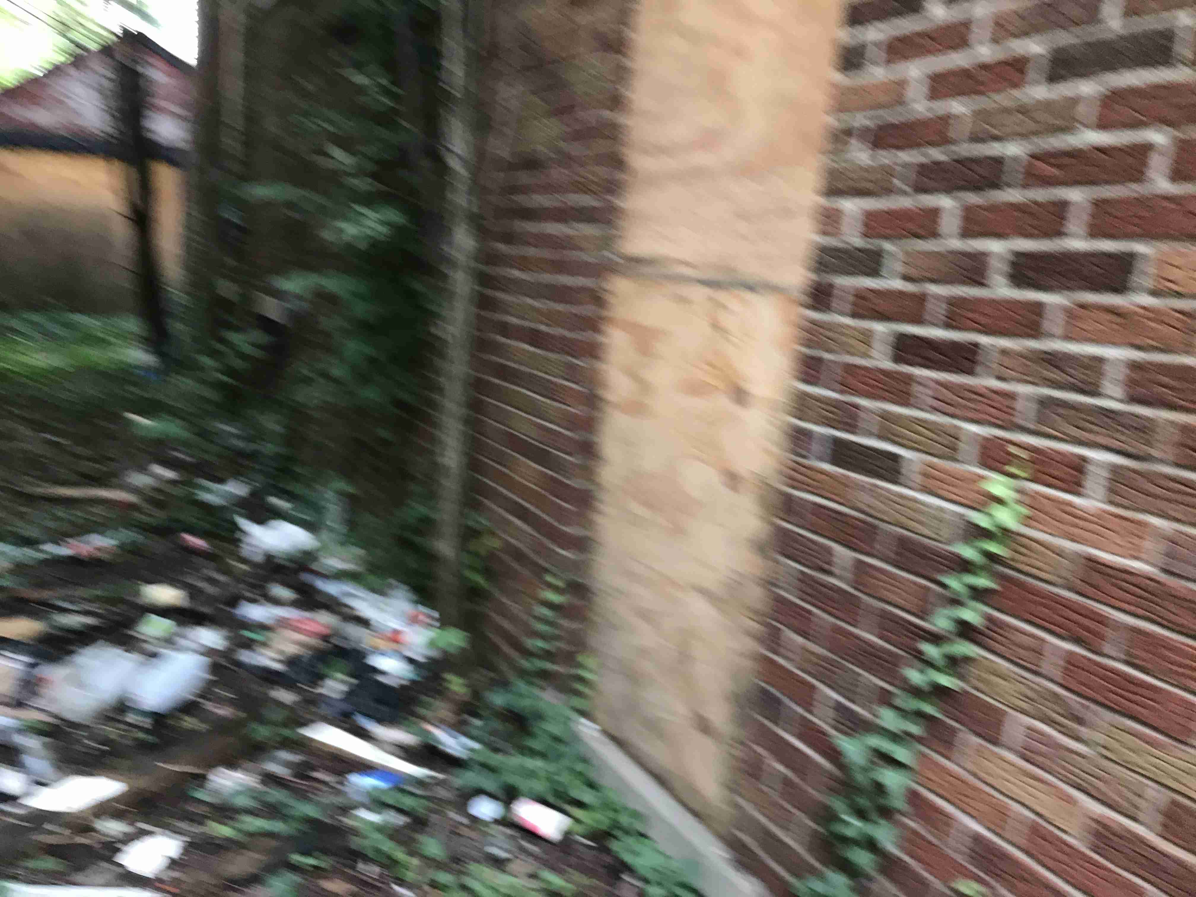 Photo Sep 10, 2 06 06 PM.jpg